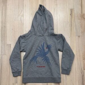 Firebird Graphic Fleece Hoodie, grey/blue/res, sz 10-11